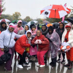 Making Strides Against Breast Cancer St. Louis Walk